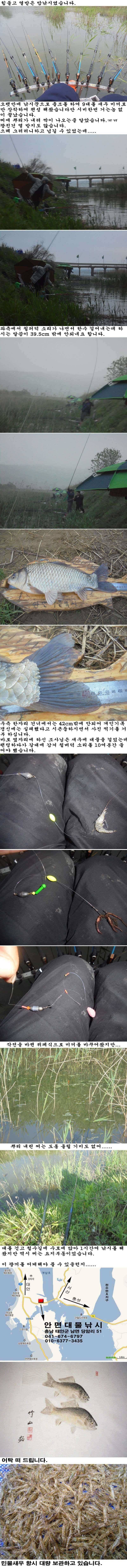 54 부남호 열만 받고 철수한 조황 (조황조행기 - 특파원조황)