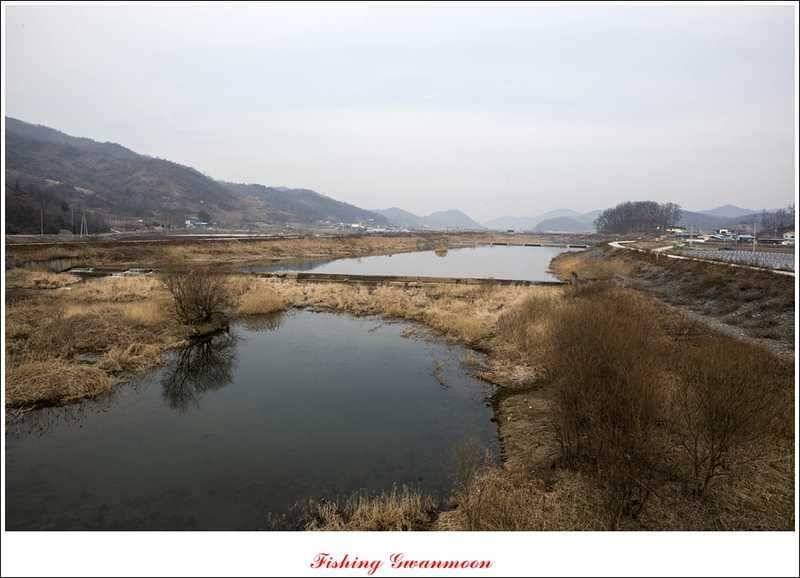 충주괴산권 조황 (조황조행기 - 특파원조황)