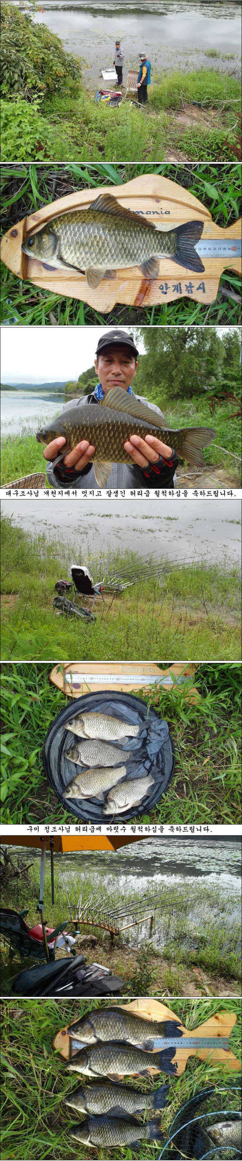 대물에 허리급에 마릿수 월척들 (조황조행기 - 특파원조황)