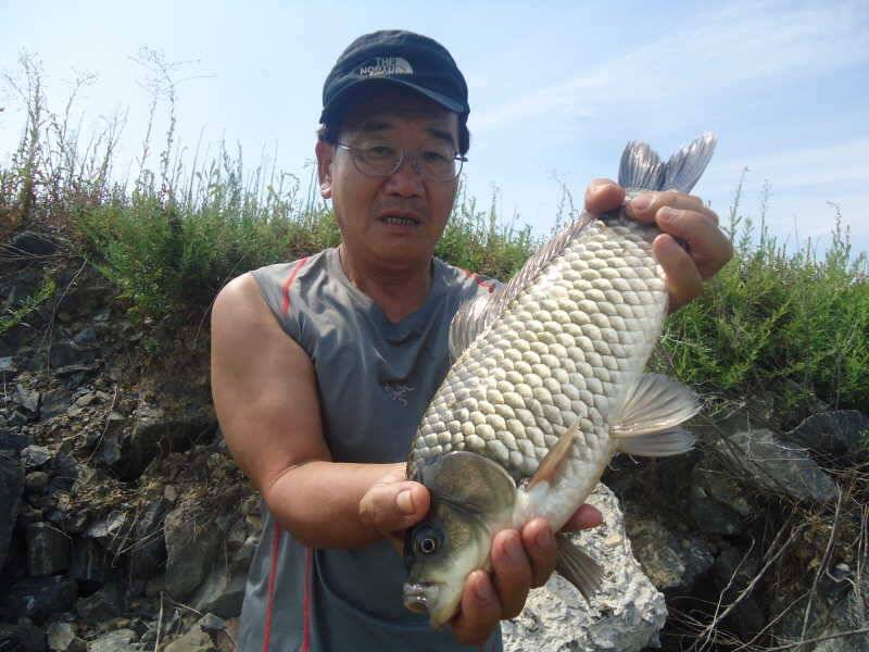 817 부남호 425cm 외 관고기 조황 (조황조행기 - 특파원조황)
