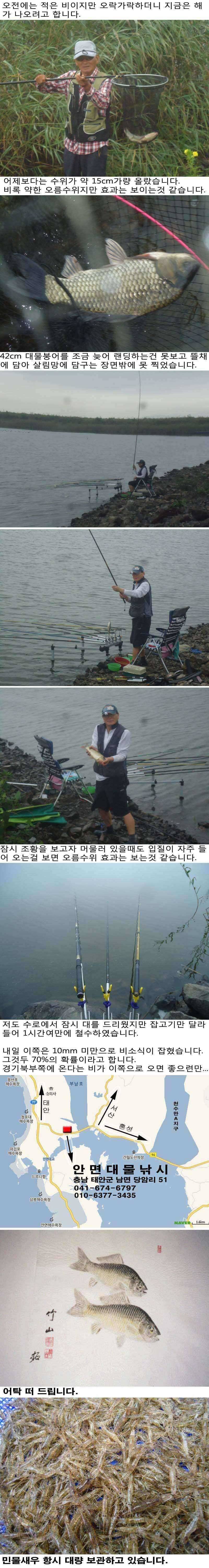 724 부남호 오름수위 조황 (조황조행기 - 특파원조황)