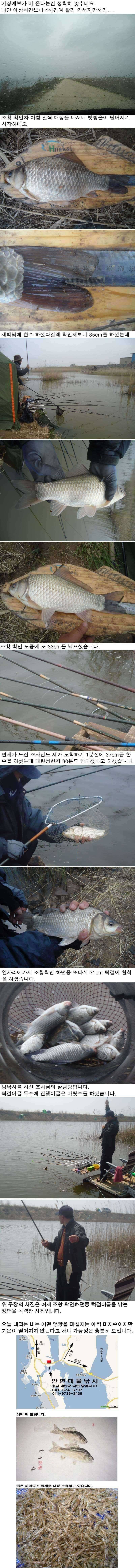 423 부남호 계속 이어지는 입질속의 조황 (조황조행기 - 특파원조황)