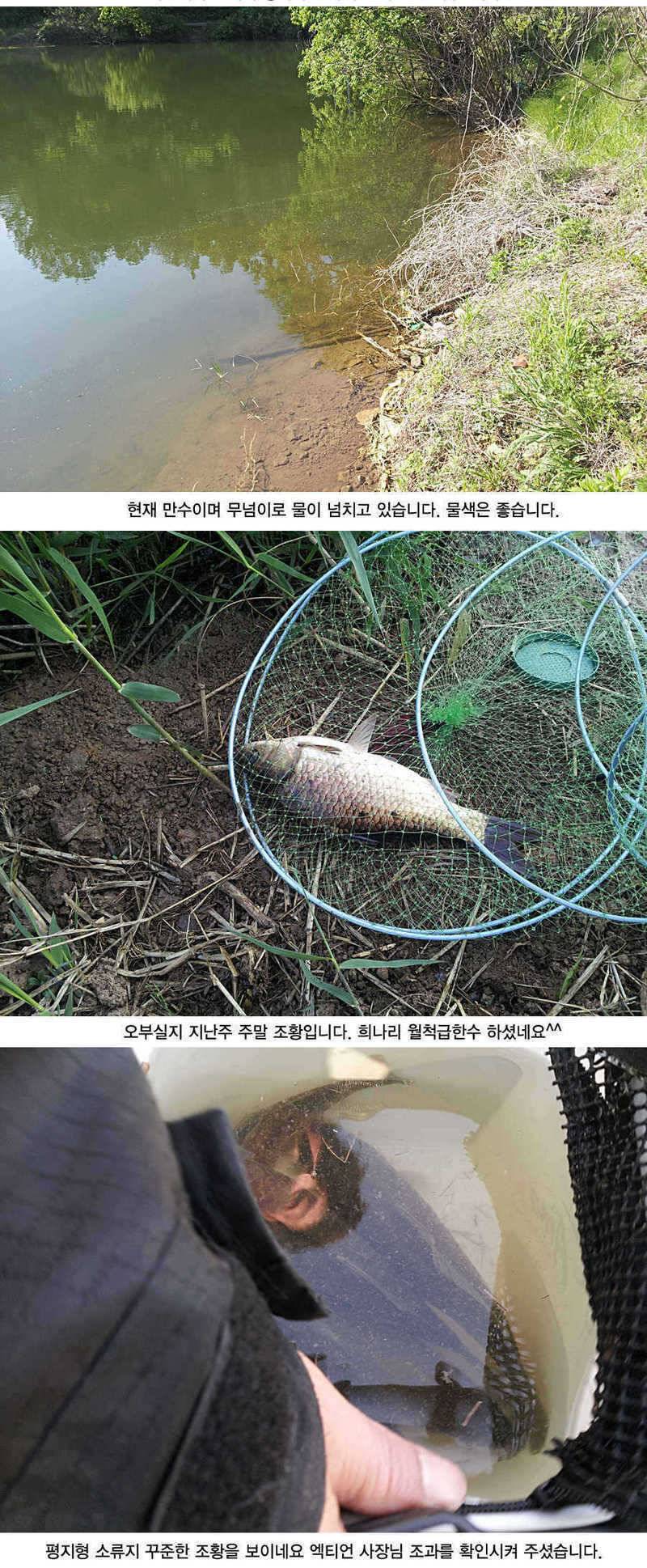 청도권 지난주 주말및 주중393938 (조황조행기 - 특파원조황)