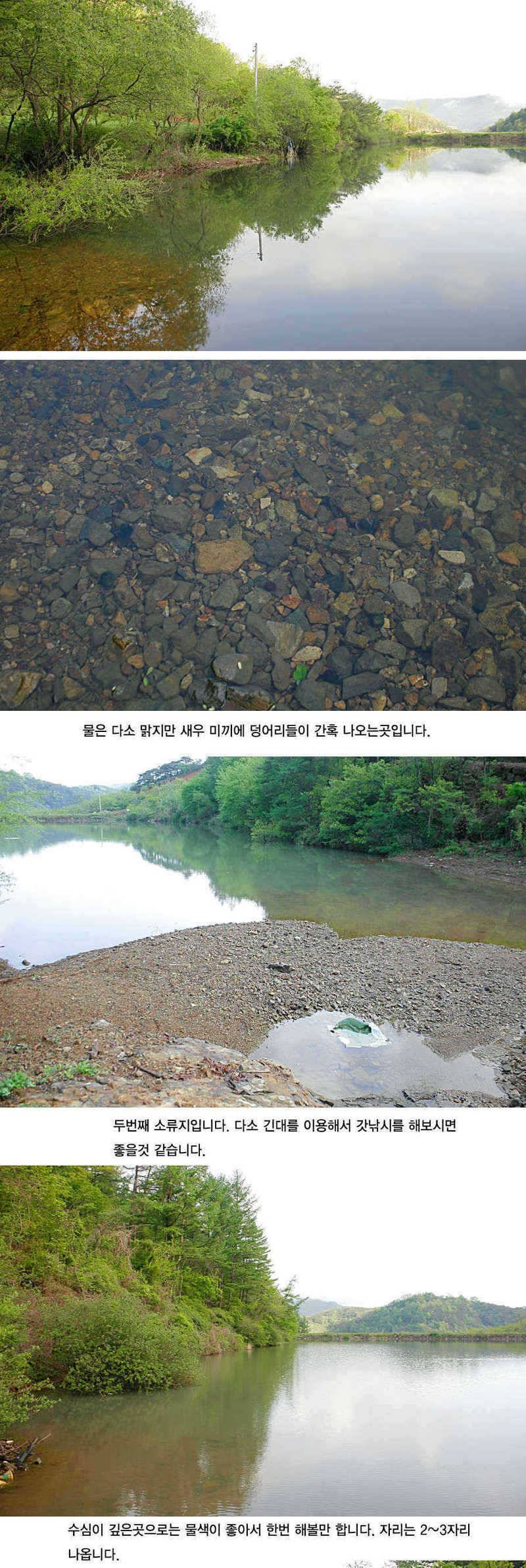 청도권 지난주 주말및 주중393938 (조황조행기 - 특파원조황)