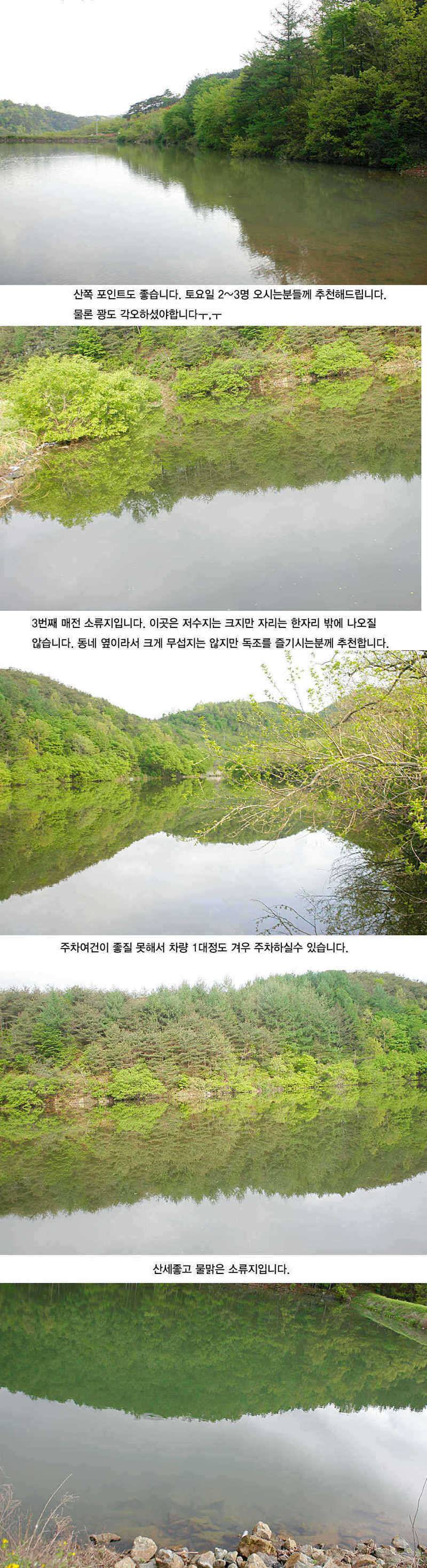 청도권 지난주 주말및 주중393938 (조황조행기 - 특파원조황)