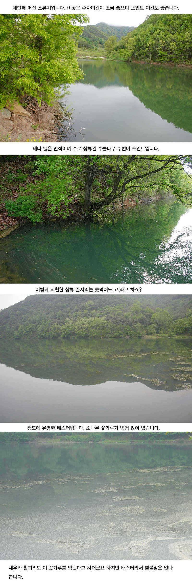 청도권 지난주 주말및 주중393938 (조황조행기 - 특파원조황)