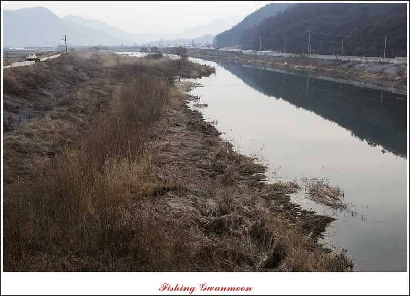 충주괴산권 조황 (조황조행기 - 특파원조황)