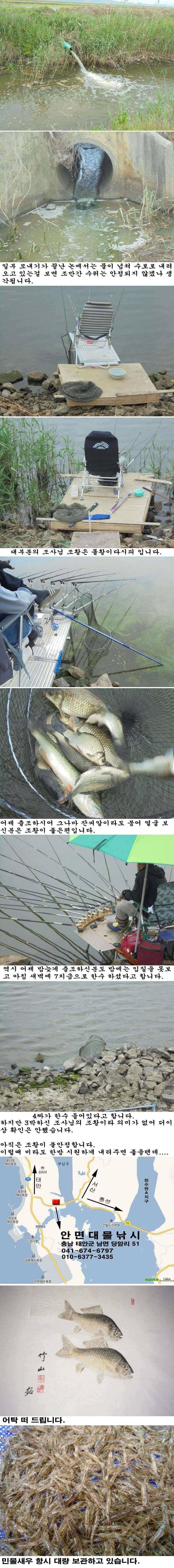 62 부남호 부진한 조황 (조황조행기 - 특파원조황)