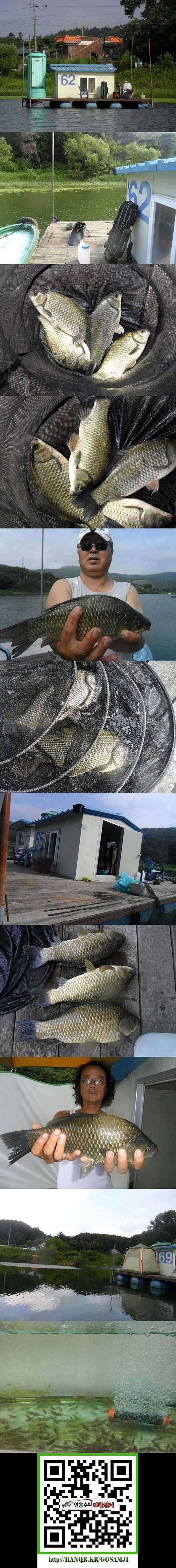 덕산지 조황이 살아나고 있습니다 (조황조행기 - 특파원조황)
