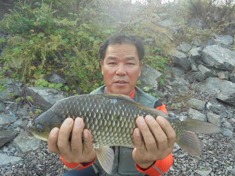 926 부남호 연휴 첫날 조황 (조황조행기 - 특파원조황)