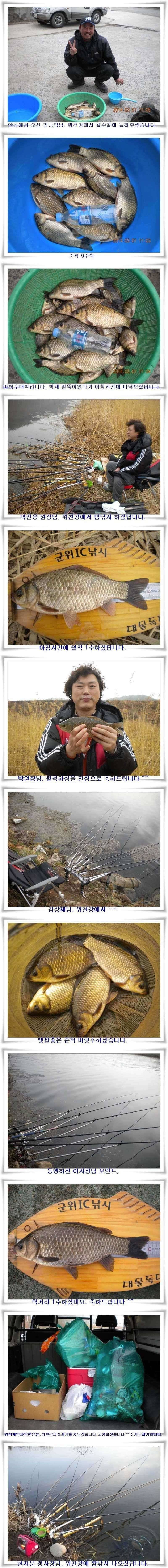 월준척마릿수초대박 (조황조행기 - 특파원조황)