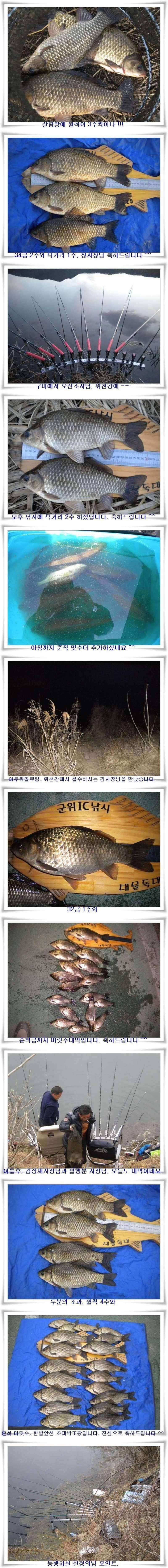 월준척마릿수초대박 (조황조행기 - 특파원조황)