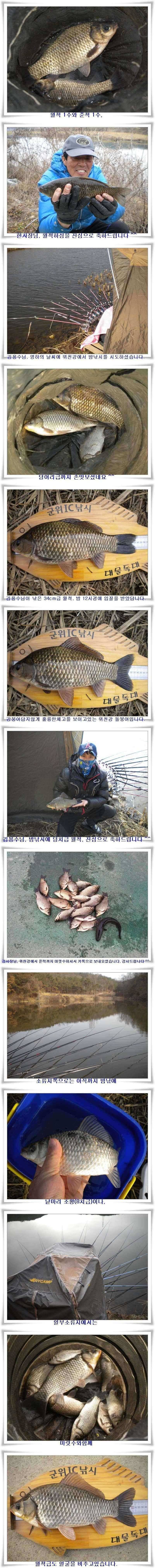 월준척마릿수초대박 (조황조행기 - 특파원조황)