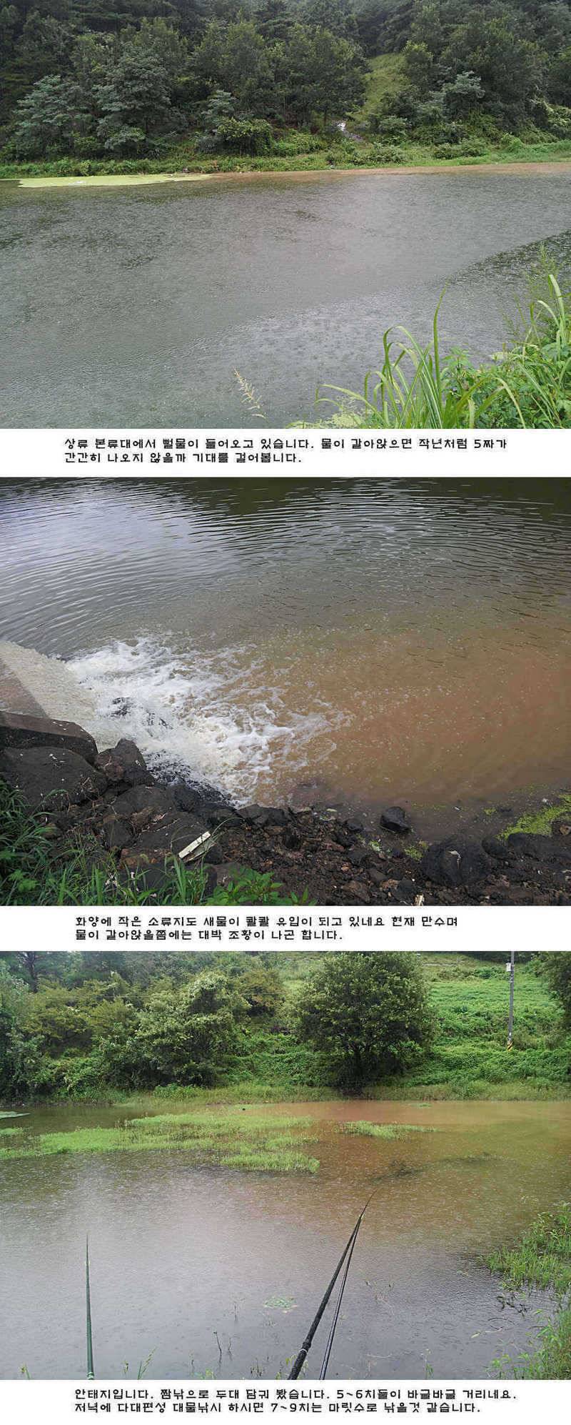 청도권 주말 주중 조황 (조황조행기 - 특파원조황)