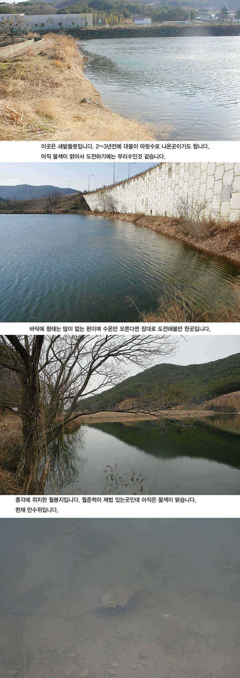 주중 청도권 조황정보 (조황조행기 - 특파원조황)
