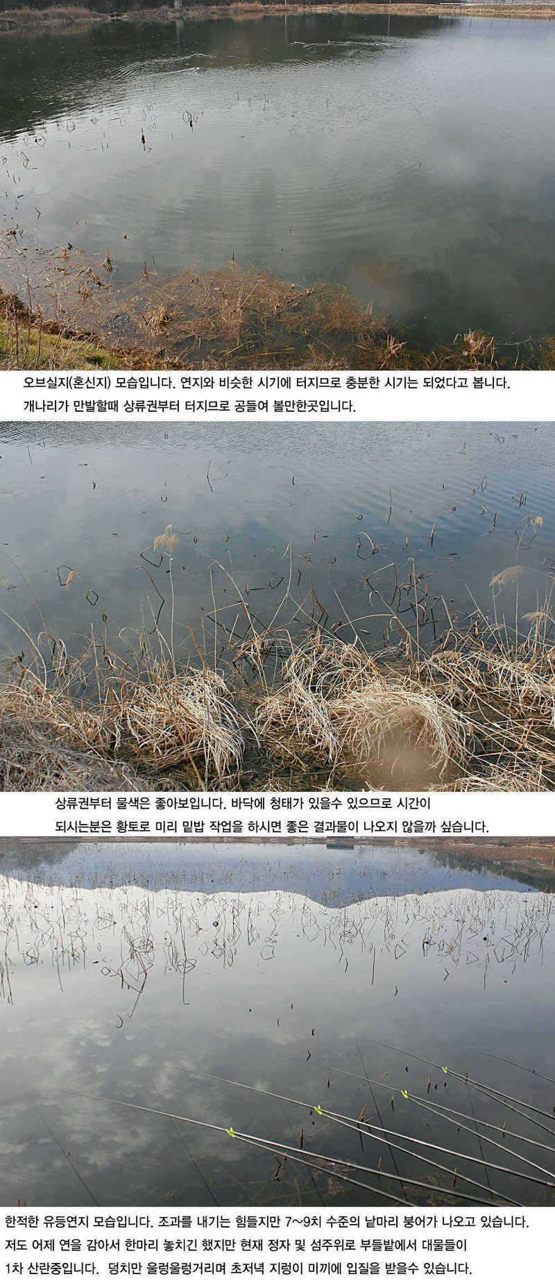 주중 청도권 조황정보 (조황조행기 - 특파원조황)