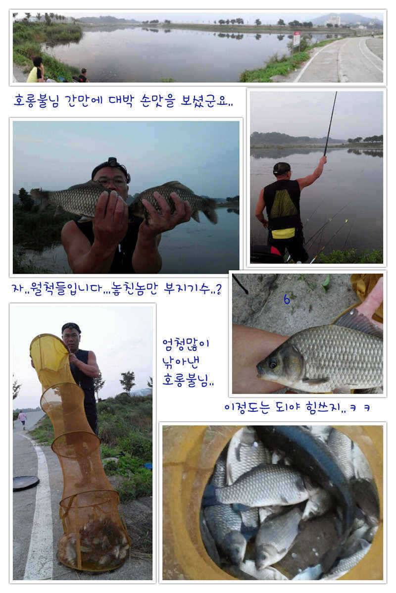 예천권 강낚시 월척들 소식과 이제 단비로인해서 좋은 조황이 이어질전망 (조황조행기 - 특파원조황)
