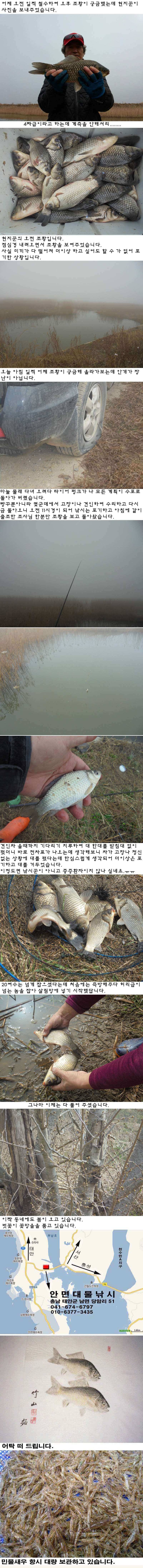 연일 대박 조황 (조황조행기 - 특파원조황)