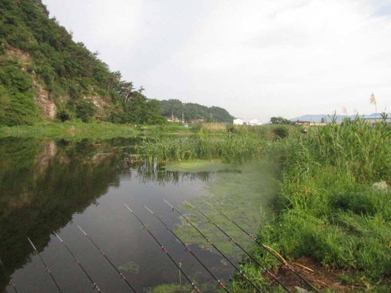 6월2째주 조황 입니다 (조황조행기 - 특파원조황)