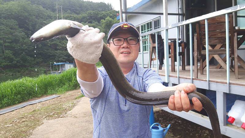 목벌낚시터 월척붕어 키로급장어 소식 (조황조행기 - 특파원조황)