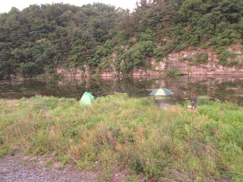 6월2째주 조황 입니다 (조황조행기 - 특파원조황)