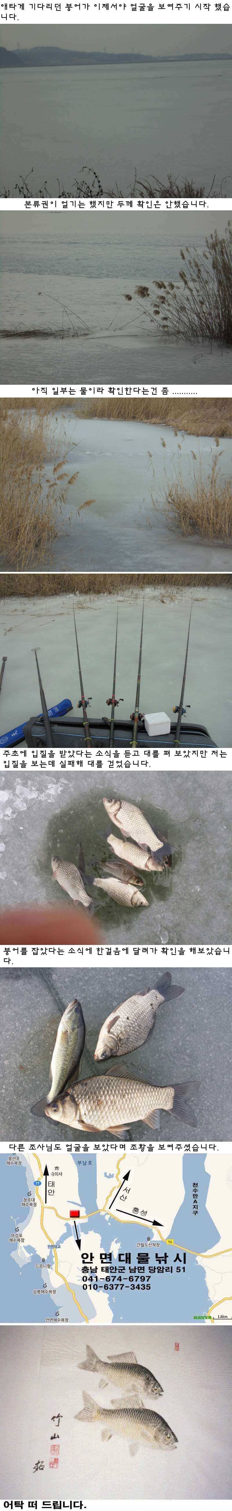 부남호 얼음낚시 조황 (조황조행기 - 특파원조황)