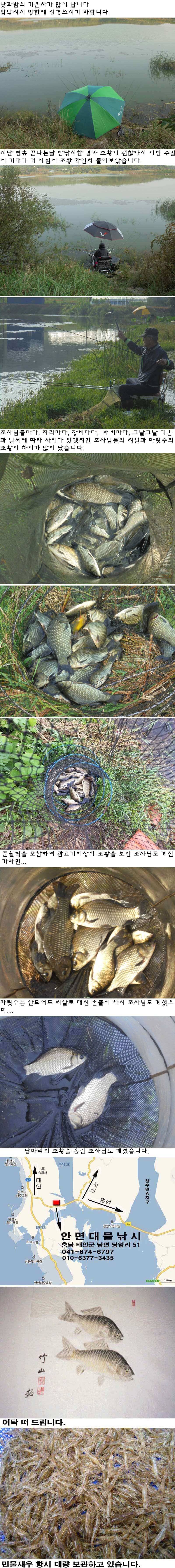 930 안면도권 저수지 관고기 주말 조황 (조황조행기 - 특파원조황)