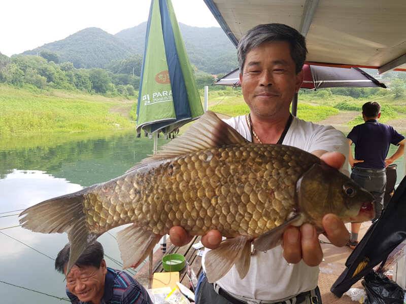 하천 44cm 대물 외 준 월척조황 (조황조행기 - 특파원조황)
