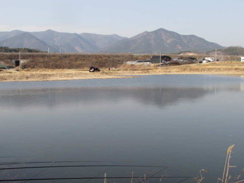 3월2째주 조황 입니다 (조황조행기 - 특파원조황)