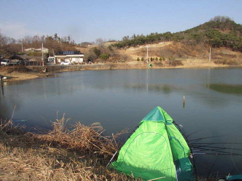 3월2째주 조황 입니다 (조황조행기 - 특파원조황)