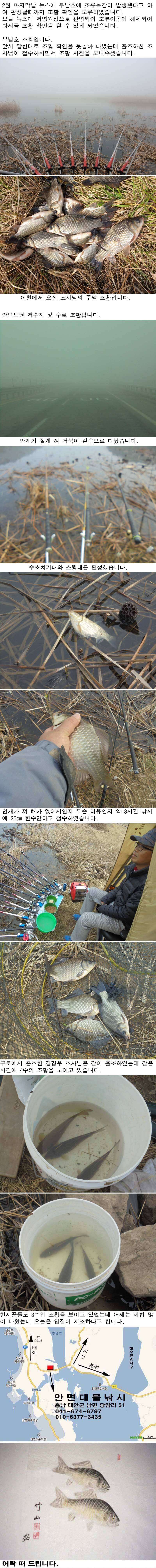 35 안면도권 저수지 및 수로 부남호 연휴 조황 (조황조행기 - 특파원조황)
