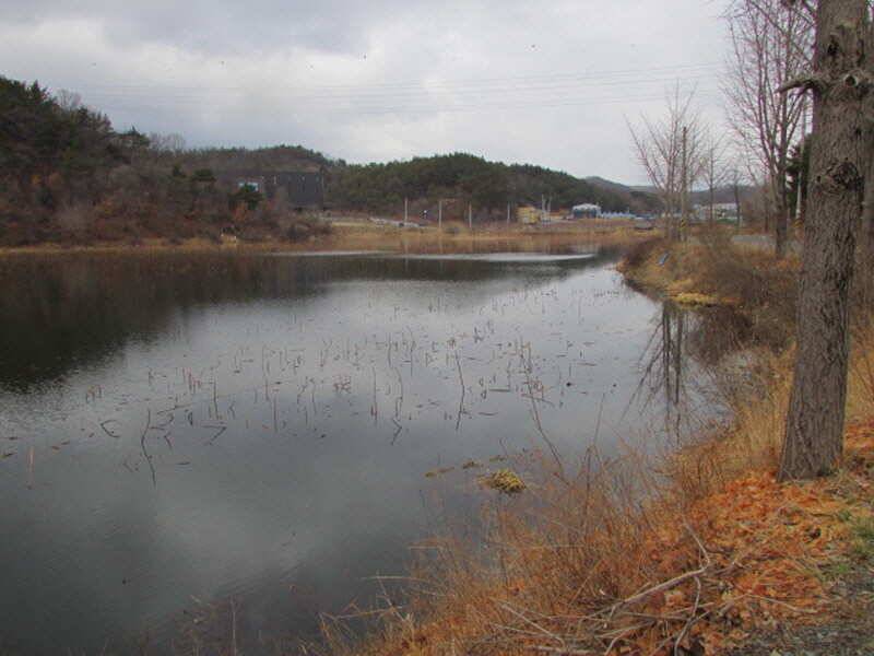 3월2째주 조황 입니다 (조황조행기 - 특파원조황)