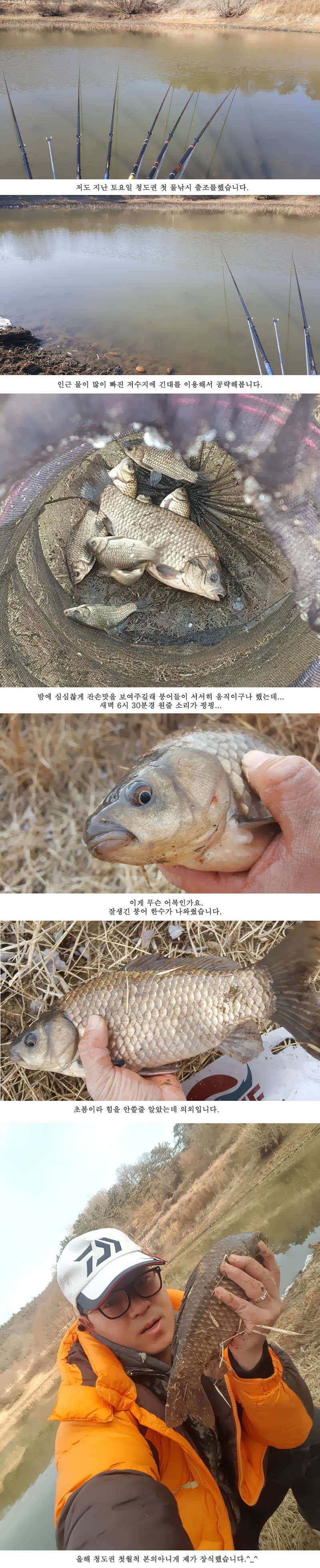 청도권 설연휴 첫 조황입니다 (조황조행기 - 특파원조황)