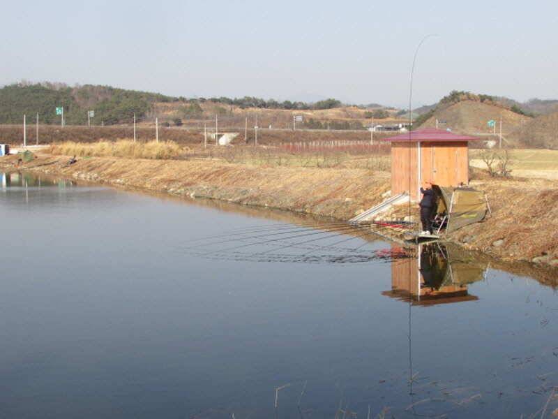 3월2째주 조황 입니다 (조황조행기 - 특파원조황)