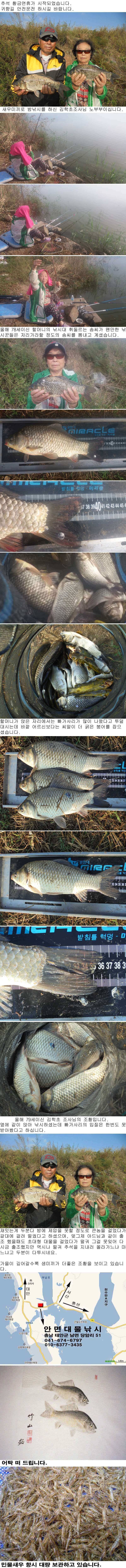 930 부남호 생미끼 밤낚시 조황 (조황조행기 - 특파원조황)
