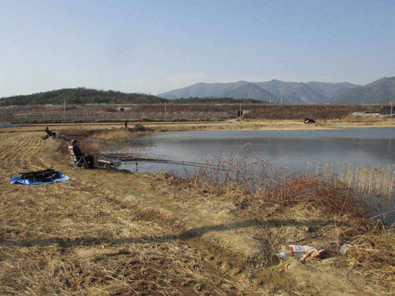 3월2째주 조황 입니다 (조황조행기 - 특파원조황)