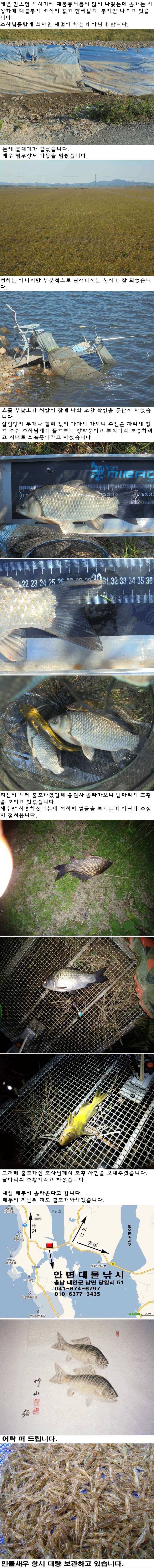 104 부남호 잔씨알 낱마리 조황 (조황조행기 - 특파원조황)