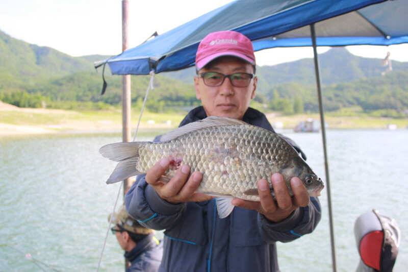 서운리 솔 38cm 하천 허리급 월척조황 (조황조행기 - 특파원조황)