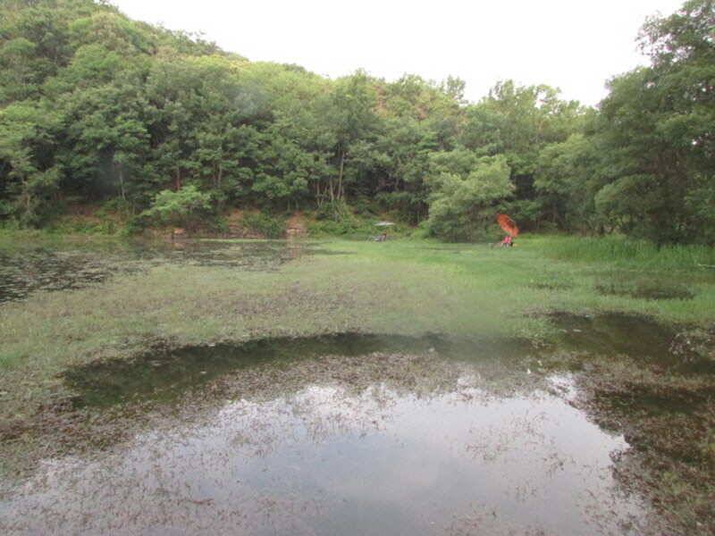 6월2째주 조황 입니다 (조황조행기 - 특파원조황)