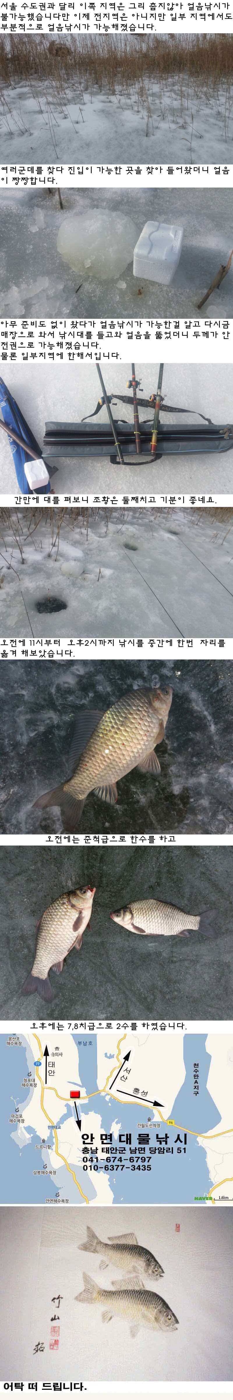뒤늦게 시작된 얼음 낚시 (조황조행기 - 특파원조황)