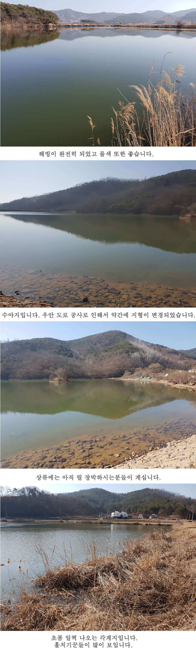 pro_johwang_548d7_062940_76982.jpg