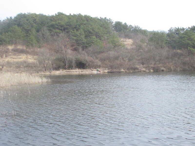 pro_johwang_57770_101350_35300.jpg