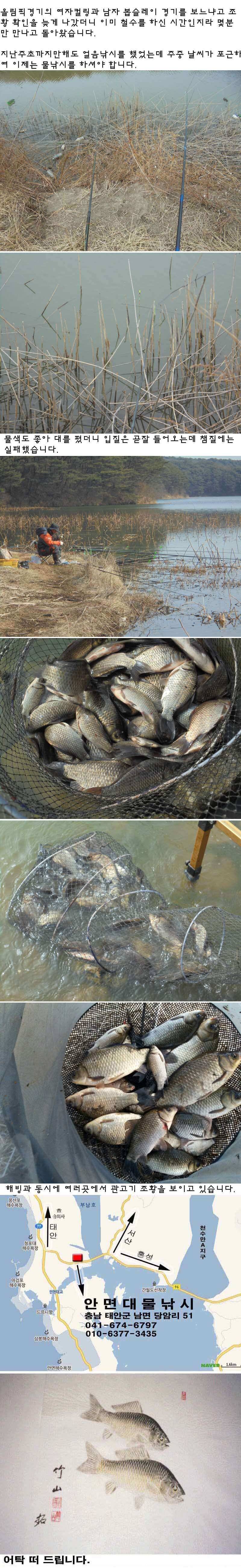 안면도권 저수지 물낚시 시작 관고기 조황 (조황조행기 - 특파원조황)