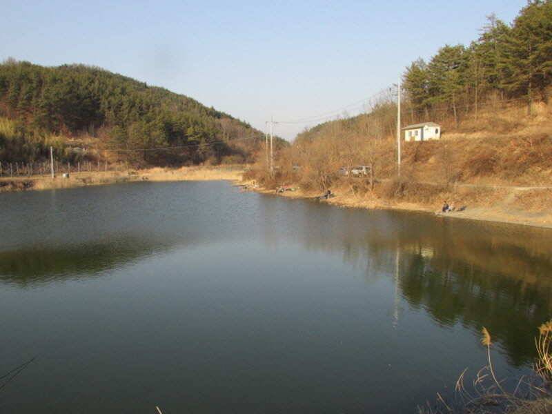 3월2째주 조황 입니다 (조황조행기 - 특파원조황)