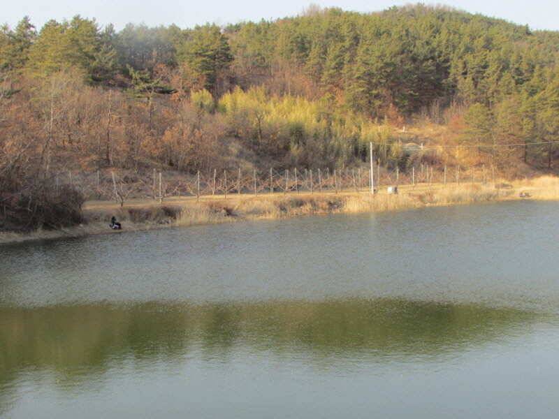 3월2째주 조황 입니다 (조황조행기 - 특파원조황)