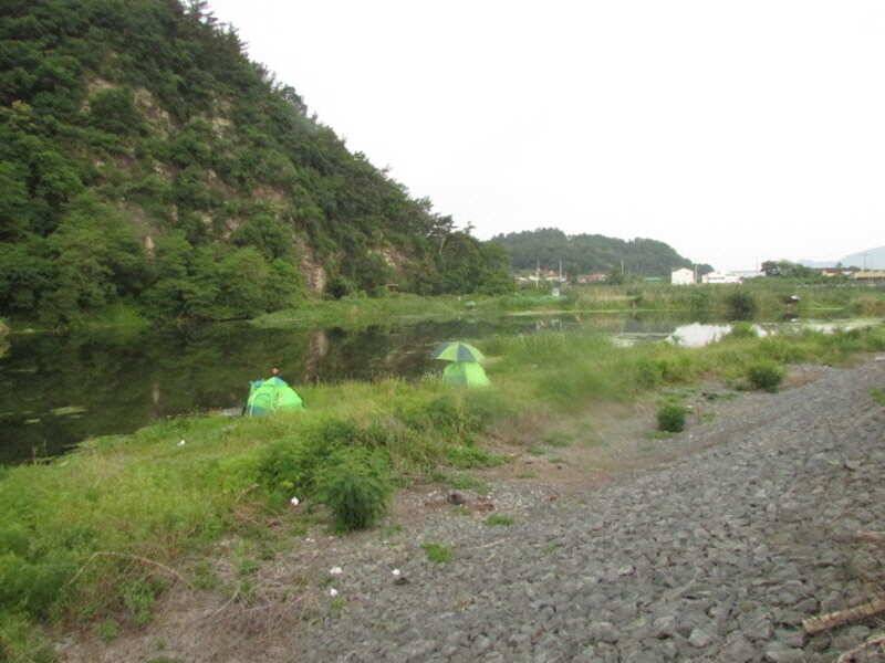 6월2째주 조황 입니다 (조황조행기 - 특파원조황)
