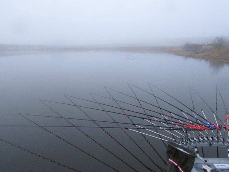 pro_johwang_7a0d9_112158_11068.jpg