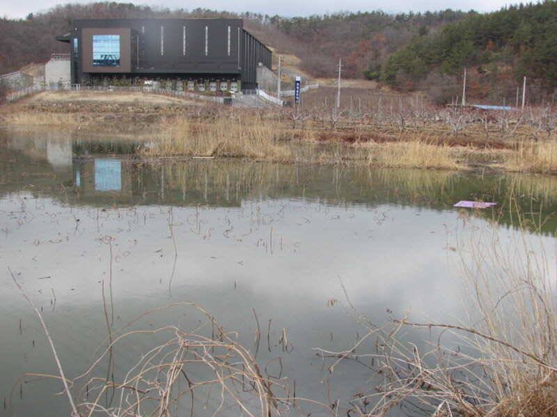 3월2째주 조황 입니다 (조황조행기 - 특파원조황)