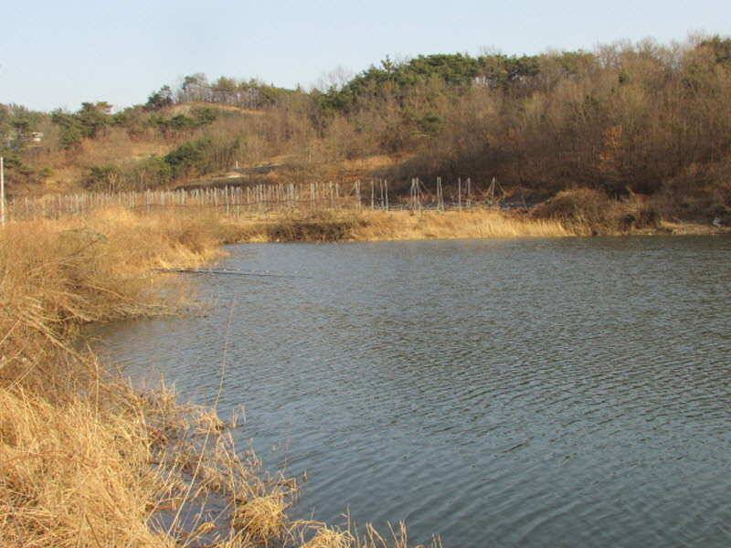 3월2째주 조황 입니다 (조황조행기 - 특파원조황)