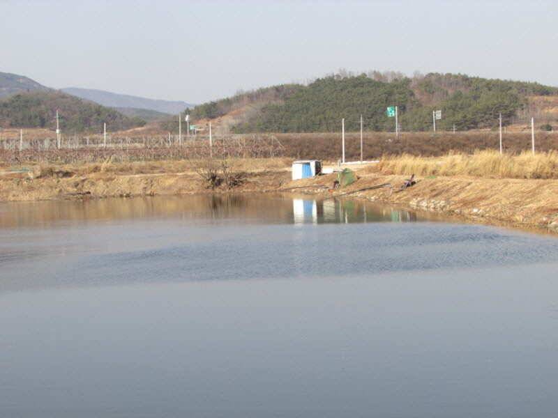 3월2째주 조황 입니다 (조황조행기 - 특파원조황)